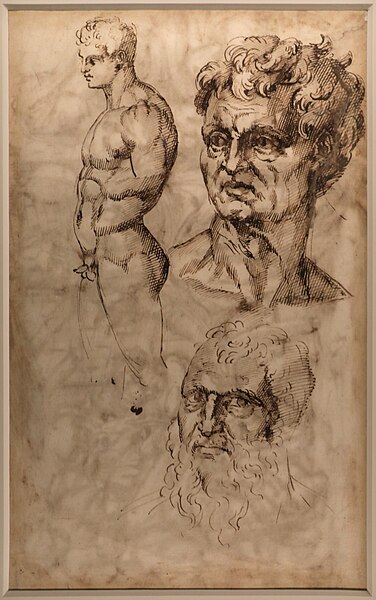 File:Baccio bandinelli, studio di nudo, di testa e per autoritratto, 1520-30 ca. (gdsu).jpg