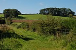 Thumbnail for File:Ballygrot rath near Helen's Bay - geograph.org.uk - 241221.jpg