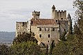 * Nomination Vue du château de Beynac. --Thesupermat 07:15, 4 October 2012 (UTC) * Promotion Nice pic of a nice place, in difficult lighting conditions.--Jebulon 09:31, 4 October 2012 (UTC)