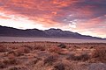 Poušť Black Rock Desert (15101578086) .jpg