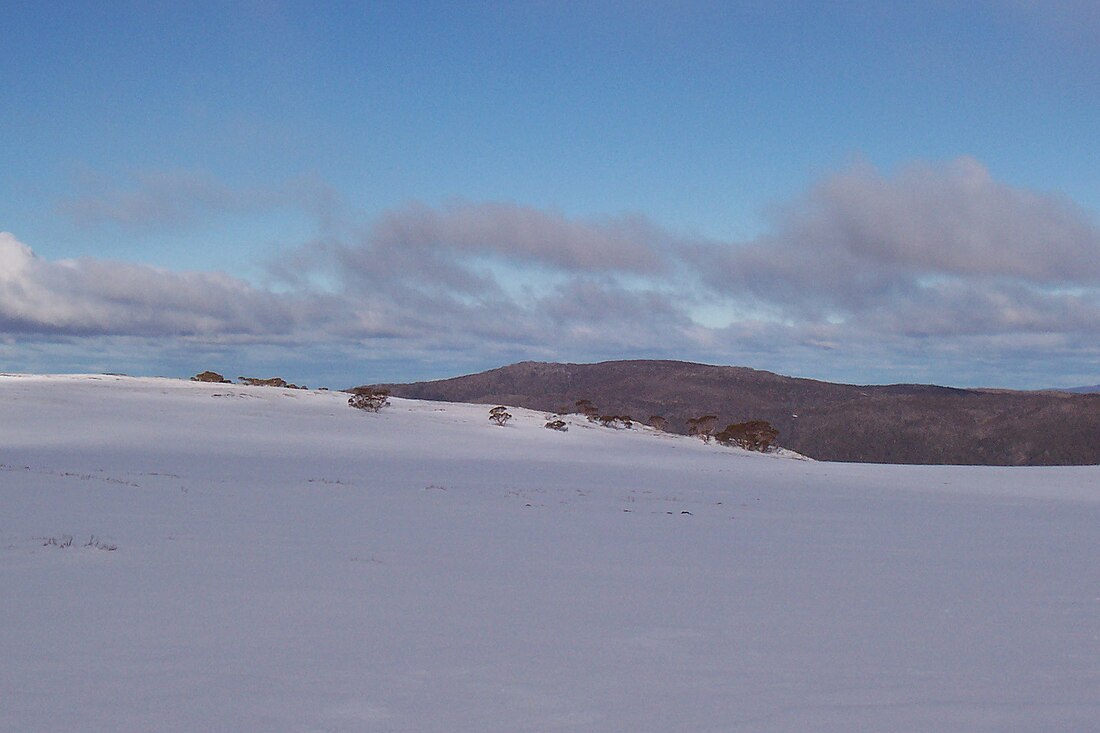 Bogong High Plains