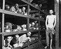 Elie Wiesel à Buchenwald, seconde rangée, septième à partir de la gauche, 16 avril 1945