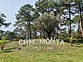Thumbnail for CHM Montalivet