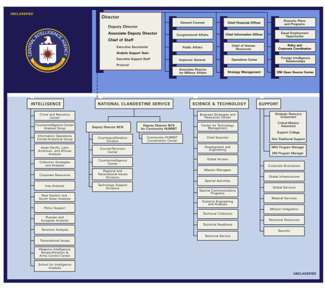 File:CIA ORG Structure.svg