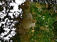 Satellietfoto van Cali, gemaakt door de NASA Landsat-satelliet op een hoogte van 38 km