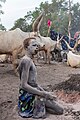 Campamento de ganado de la tribu Mundari, Terekeka, Sudán del Sur, 2024-01-29, DD 43