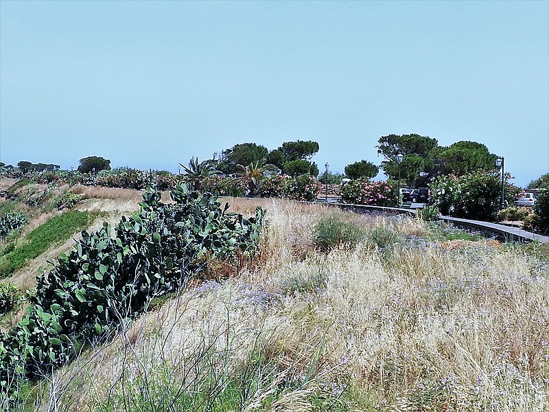 File:Capo Milazzo 15 06 2019 64.jpg