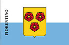 City flag