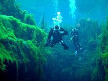 Diving at Piccaninnie ponds Cave diving at Piccaninnie Ponds.jpg