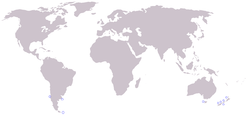 Utbredelseskart for tasmansk nebbhval
