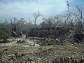 Trincheras coloniales cercanas a Chicxulub Puerto.