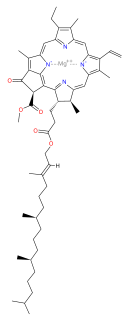 Chlorophyll <i>a</i> Chemical compound