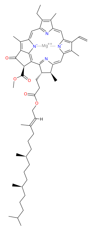 Chlorophyll <i>a</i> Chemical compound