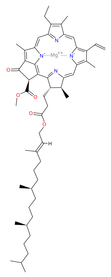 Chlorophyll a