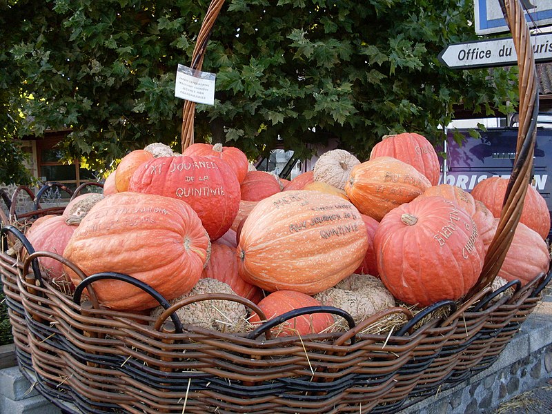 File:Citrouilles Chabanais.JPG