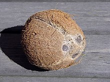 Coconut on table