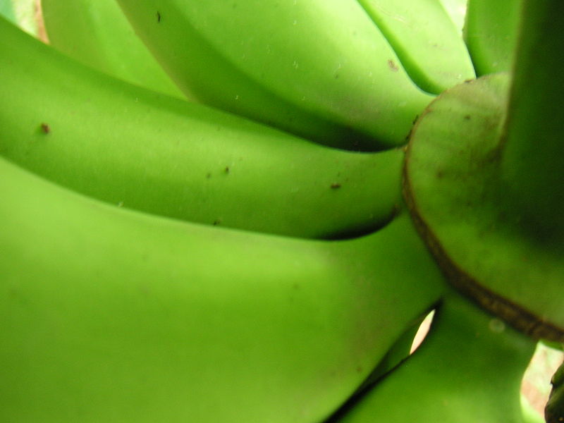 File:Colbanana09.jpg