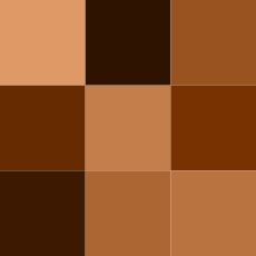 Color icon brown.svg