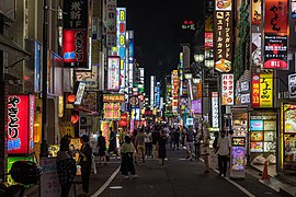 Colorful neon street signs in Kabukichō, Shinjuku, Tokyo