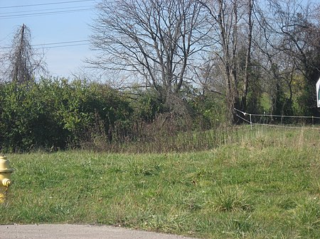 Conrad Mound Archeological Site