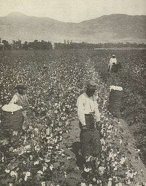 Agriculture In The United States