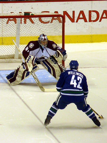 File:Craig Anderson Kyle Wellwood shootout.jpg