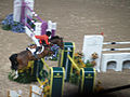 Cristallo (Caletto II) at FEI World Cup