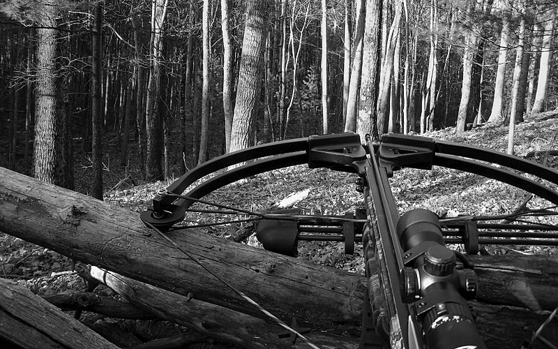 File:Crossbow Hunting in black and white.jpg