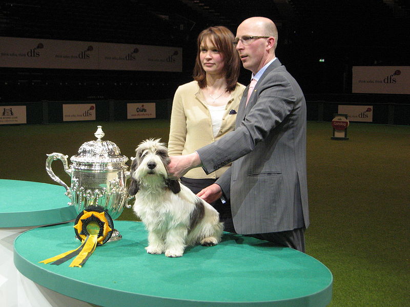 File:Crufts dog show 2011 (8652877556).jpg