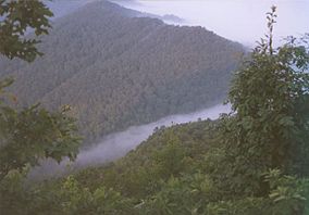 Cumberland Gap-fogi.jpg