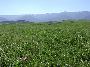 In the Cuyama Valley with a southward view of the Sierra Madre