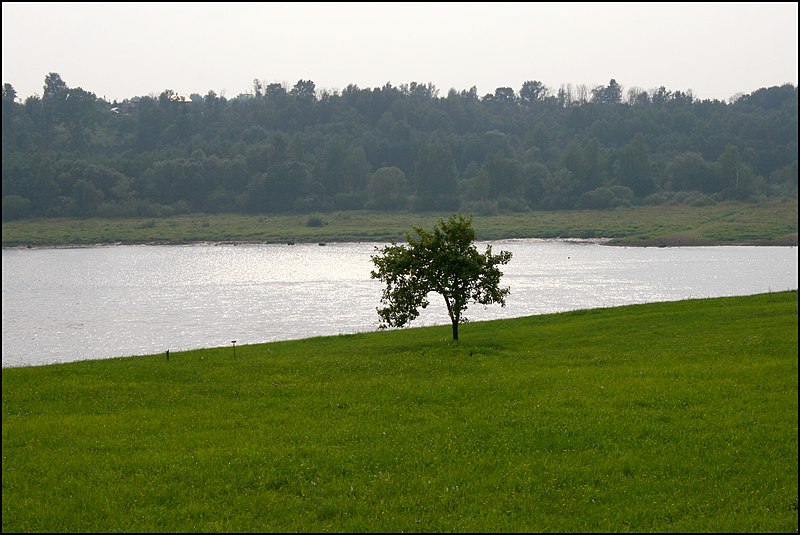 File:Daugava - panoramio (3).jpg