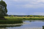 Pienoiskuva sivulle Desna–Stara Hutan kansallispuisto