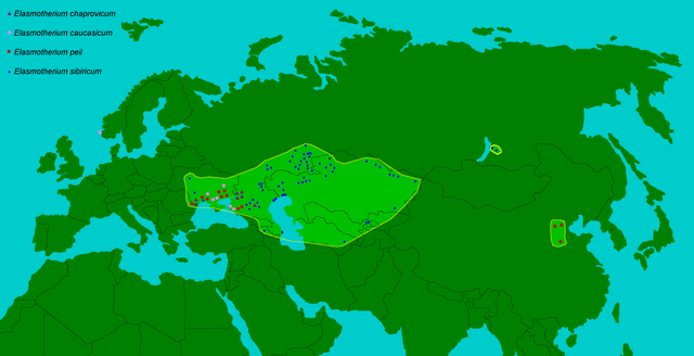 Elterjedési területük a megtalált maradványok alapján