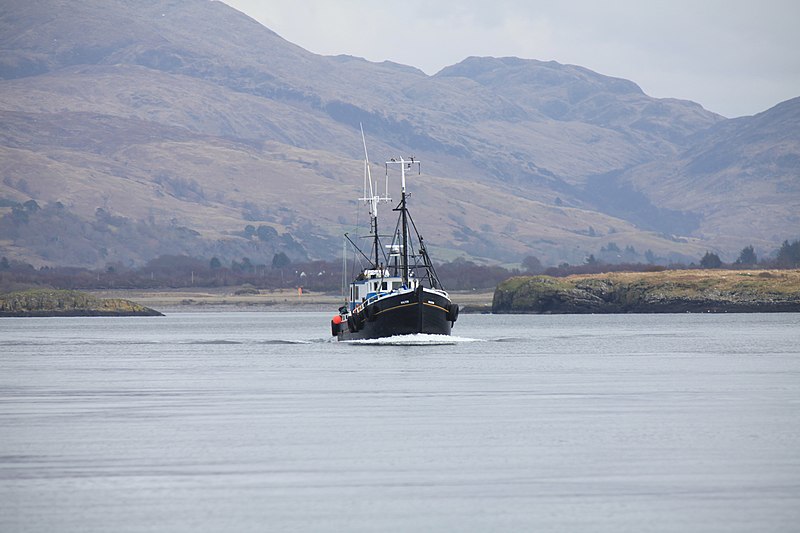 File:Dive vessel Halton, leaving Dunstaffnage Bay - geograph.org.uk - 1806778.jpg