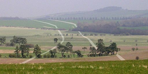 Dorset Cursus route across Wyke down