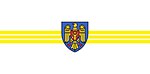 Drapel Municipiul Chisinau.jpg