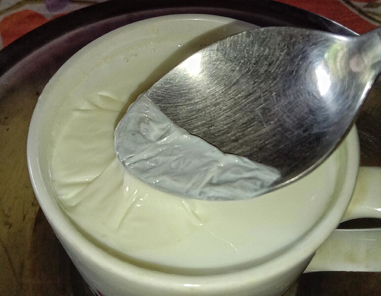 File:Dudher sor ('thick floating portion of milk') photographed in West Bengal, India, by Yogabrata Chakraborty, on August 26, 2023.jpg