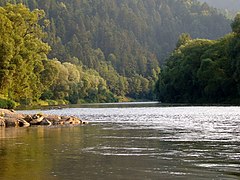 Salida de la Garganta cerca de Szczawnica.