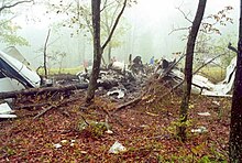 The crash site indicated that there was "minimum fire damage" to the surrounding vegetation, leading to a suspicion that the plane may have been low on fuel East Coast Aviation Services N16EJ wreckage.jpg