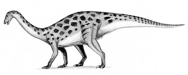 Outdated restoration of a plateosaurid-like, quadrupedal Erlikosaurus. Therizinosaurs were often depicted this way until they were definitively identi