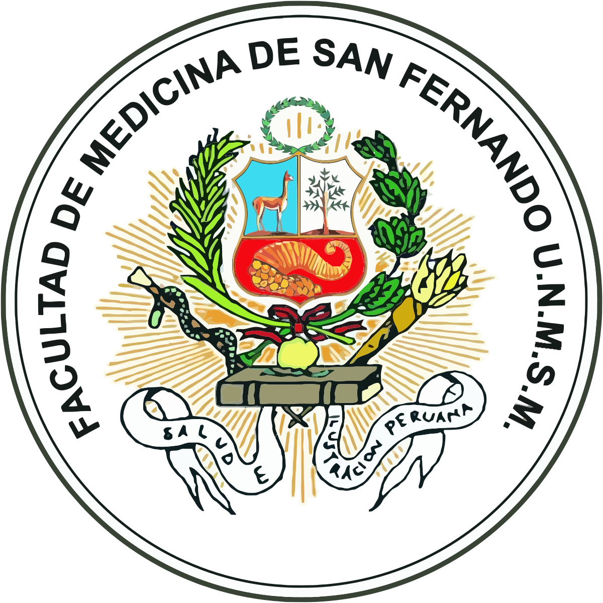 Facultad de Medicina «San Fernando» (Universidad Nacional Mayor de San  Marcos) - Wikipedia, la enciclopedia libre