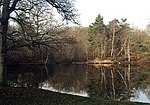 Vignette pour Étang Rompu (forêt de Rambouillet)