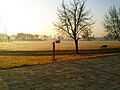 Early morning view in winters