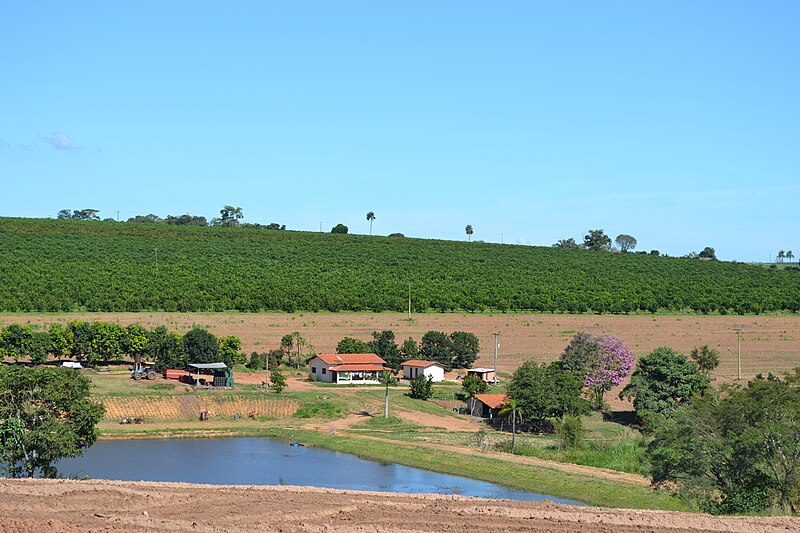 File:Fazenda dos Texeiras - panoramio.jpg