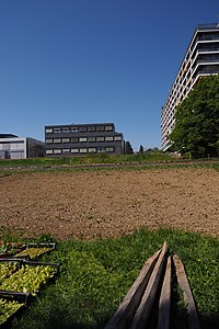 Ferme de Budé-P4211330.JPG