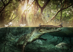 Miniatura para Crocodylus checchiai