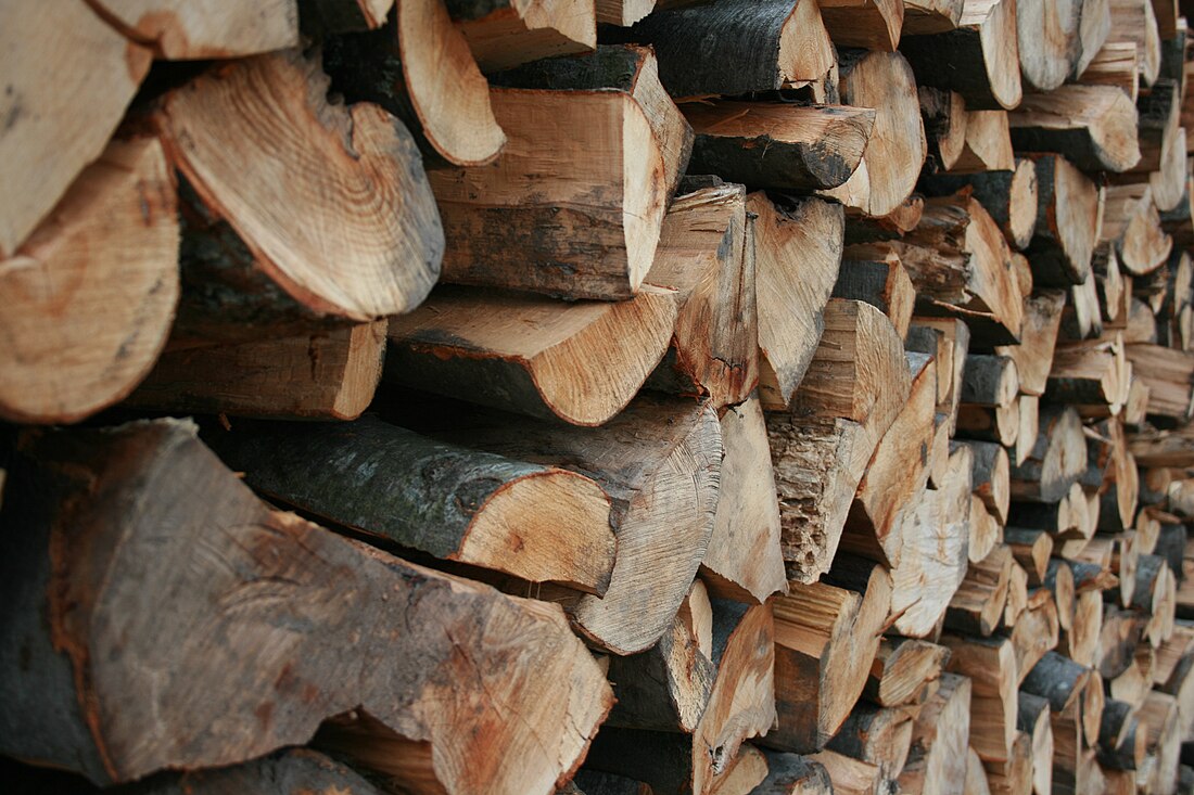 File:Firewood stacked up.jpg