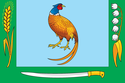 Знаме на район Майски