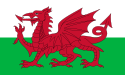 A flag of a red dragon passant on a green and white field.